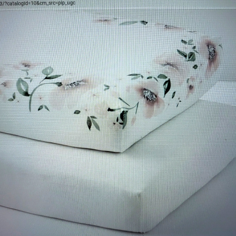 Pottery Barn Kids NWOT MEREDITH Floral PICTURE PERFECT Organic Crib Fitted